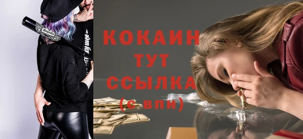 ECSTASY Инсар