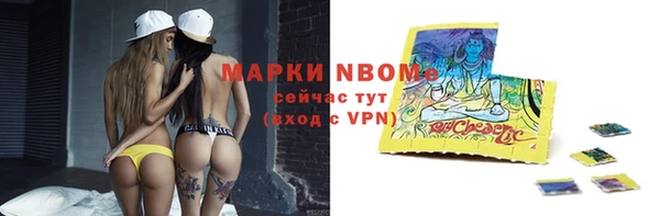 ECSTASY Инсар