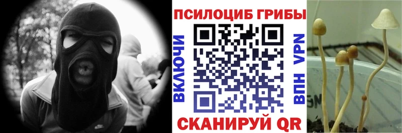 Купить закладки  Железногорск-Илимский  Галлюциногенные грибы Psilocybe 